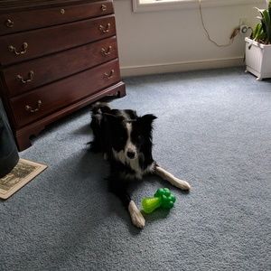 Meet your Posher, Ellen